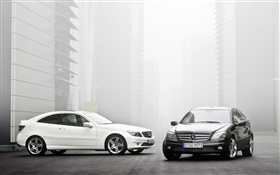 Mercedes-Benz white and black cars