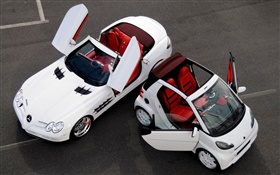 Mercedes-Benz white cars, normal and small HD wallpaper