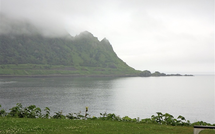 Morning, fog, mountains, sea, coast, grass, Hokkaido, Japan Wallpapers Pictures Photos Images