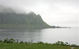 Morning, fog, mountains, sea, coast, grass, Hokkaido, Japan