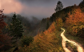 Mountain, fog, trees, footpath, autumn HD wallpaper