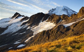 Mountain, snow, grass HD wallpaper