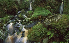 Mountain, stones, waterfalls, grass, moss HD wallpaper