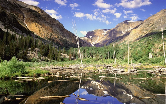 Mountains, forest, trees, lake, water reflection Wallpapers Pictures Photos Images