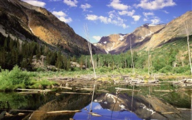 Mountains, forest, trees, lake, water reflection