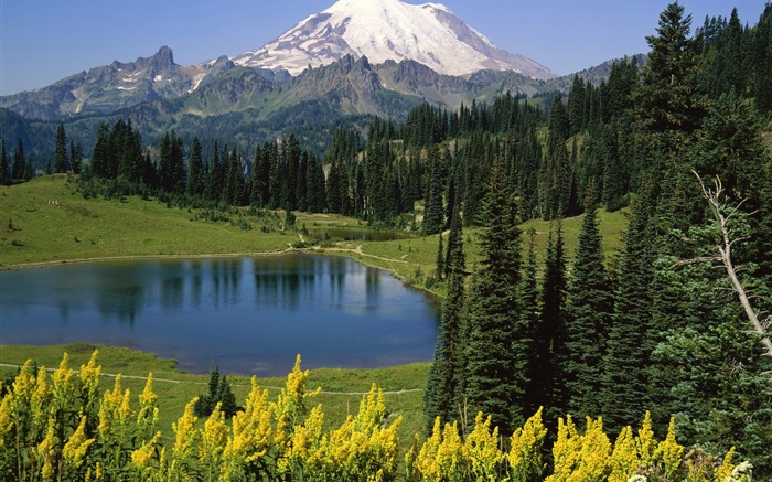 Mountains, forest, trees, lake Wallpapers Pictures Photos Images