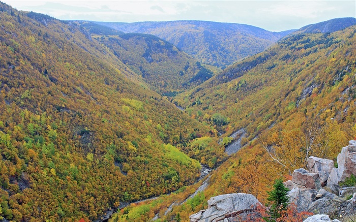 Mountains, top view, plants, autumn Wallpapers Pictures Photos Images