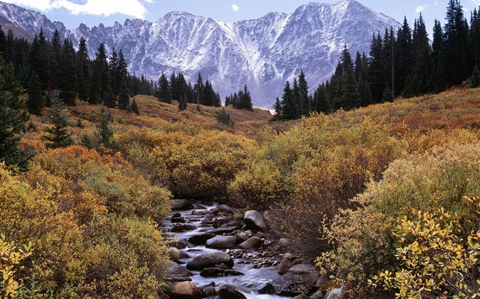 Mountains, trees, creek, stones Wallpapers Pictures Photos Images