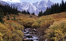 Mountains, trees, creek, stones HD wallpaper