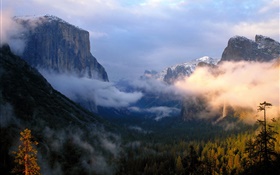 Mountains, trees, forest, clouds, dawn HD wallpaper