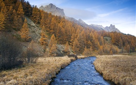 Mountains, trees, grass, river, blue sky HD wallpaper