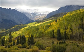 Nature landscape, trees, mountains, clouds