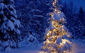 Night, trees, lights, thick snow, Christmas HD wallpaper