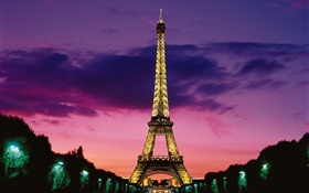 Night view the Eiffel Tower, lights, Paris, France HD wallpaper