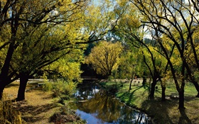 Park, river, trees, Australia