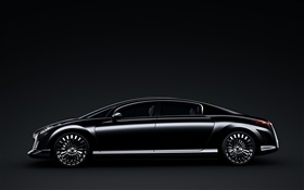 Peugeot 908 RC black car side view