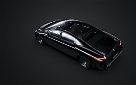 Peugeot 908 RC car top view