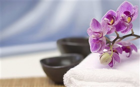 Phalaenopsis, towels, SPA theme HD wallpaper