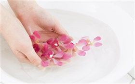 Pink orchid flower petals, water, hands HD wallpaper