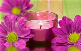 Purple chrysanthemum flowers, candle, fire, SPA theme HD wallpaper