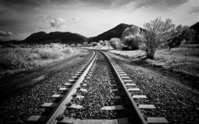 Railway, trees, mountains, black white style HD wallpaper