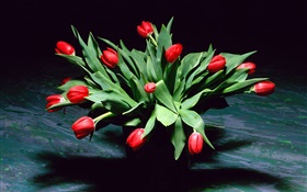 Red tulip flowers, bouquet, vase