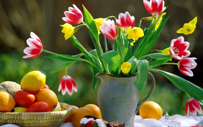 Red white petals tulips, vase, oranges Wallpapers Pictures Photos Images