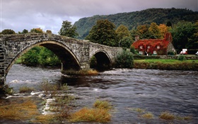 River, stones bridge, house, trees, clouds