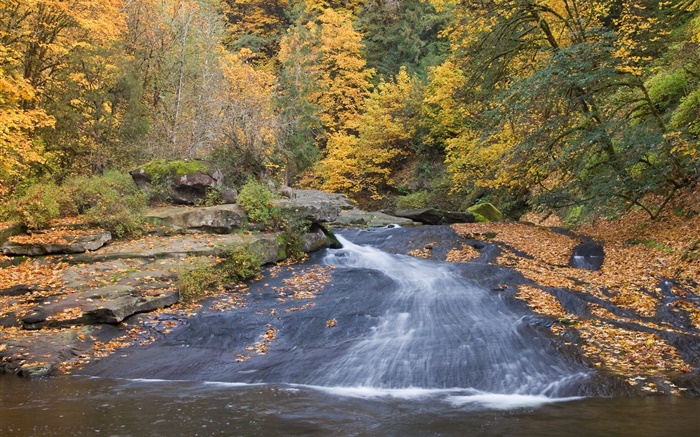 River, trees, autumn Wallpapers Pictures Photos Images