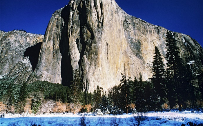 Rocks mountains, trees, winter, snow Wallpapers Pictures Photos Images