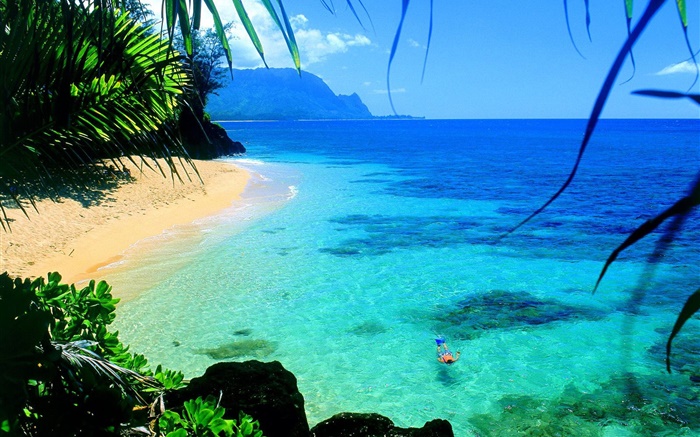 Sea, clear water, coast, swim, Hawaii, USA Wallpapers Pictures Photos Images