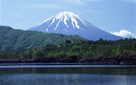 Sea, forest, Mount Fuji, Japan HD wallpaper
