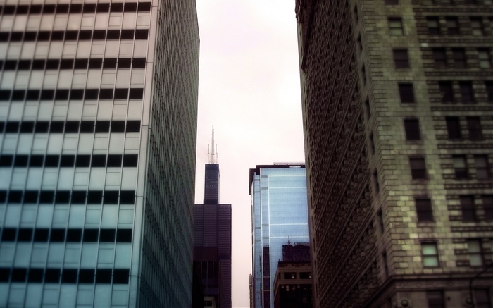 Skyscrapers, city area view Wallpapers Pictures Photos Images