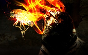 Snow tiger, insect, wings, fire, creative design HD wallpaper