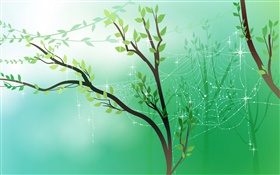 Spring, green, trees, leaves, spider web, dew, vector pictures HD wallpaper