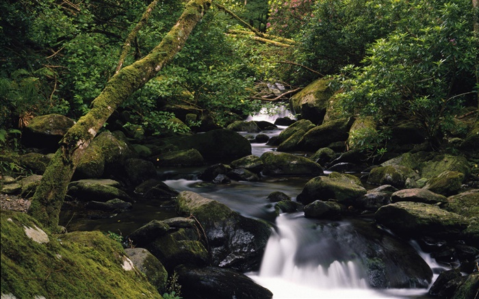Stones, creek, nature scenery Wallpapers Pictures Photos Images
