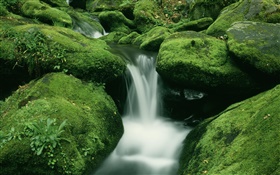 Stones, moss, creek, waterfall HD wallpaper