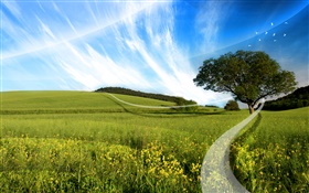 Summer, grass, tree, wildflowers, curve light, creative design HD wallpaper
