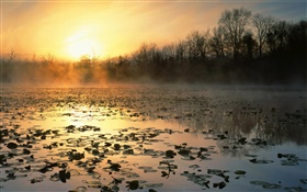 Sunrise, pond, trees, dawn, fog HD wallpaper