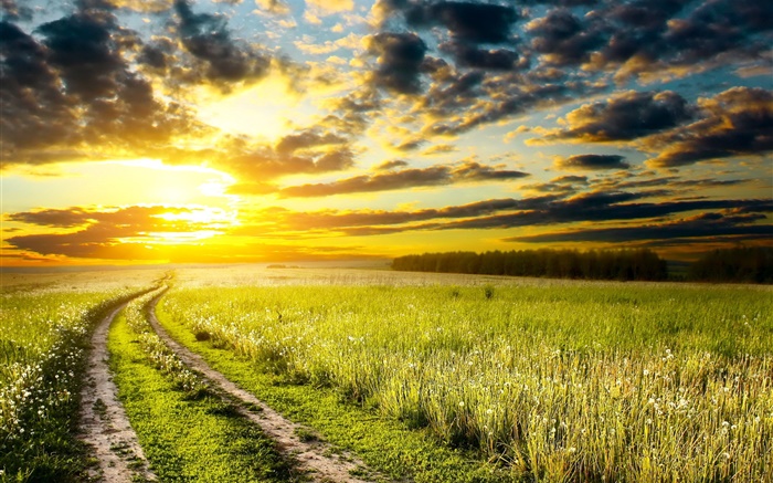 Sunset, meadow, grass, field, sun, clouds Wallpapers Pictures Photos Images