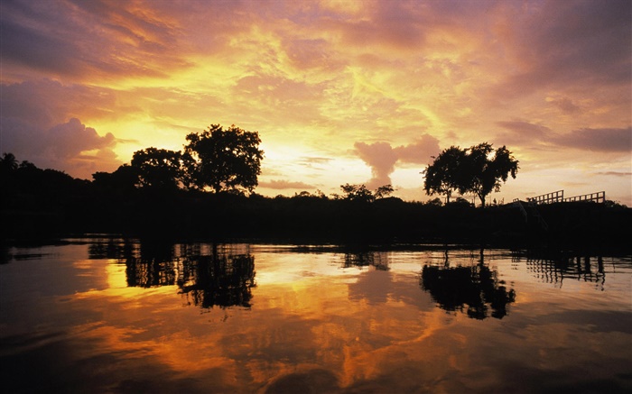 Sunset over forest, lake, Guyana Wallpapers Pictures Photos Images