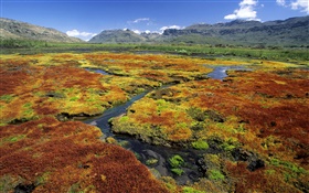 Swamp, mountains, grass, nature scenery HD wallpaper