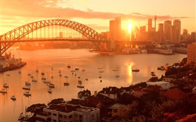 Sydney, Australia, city sunset, bridge, river, buildings, warm sun HD wallpaper