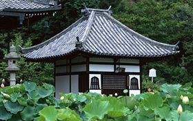 Tokyo, Japan, garden, temple, lotus pond HD wallpaper