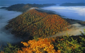 Top view landscape, mountains, fog, dawn