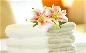 Towels, orchid, still life close-up HD wallpaper