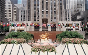 Travel to New York, USA, city, fountain, flowers, buildings, flags HD wallpaper