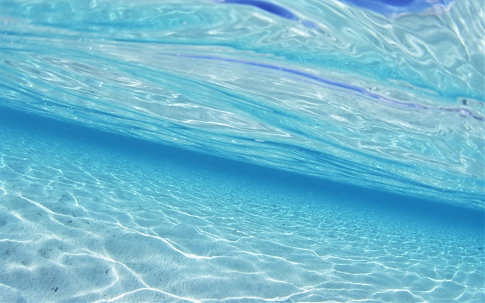 Underwater to see the sea, Maldives Wallpapers Pictures Photos Images