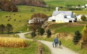 Village, road, people, houses, fields HD wallpaper