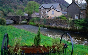 Village, town, trees, river, bridge, houses, grass HD wallpaper